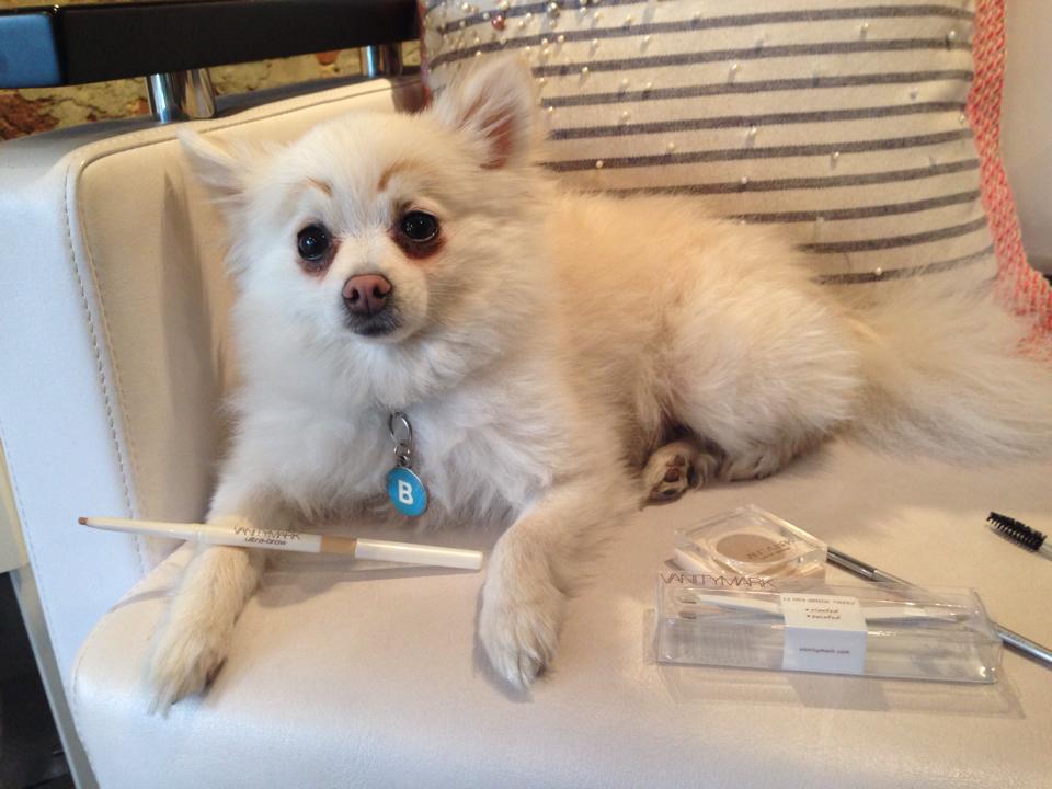 Bob Barker Talks Brows
